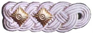 Schulterklappe des Obersts
