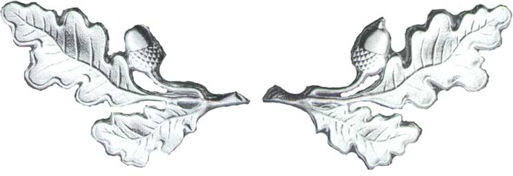 Kragenspiegel großes Eichenlaub